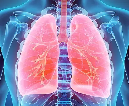 About Ascenza Global Infra Care