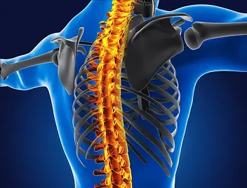 Skull Base & Spine Surgery